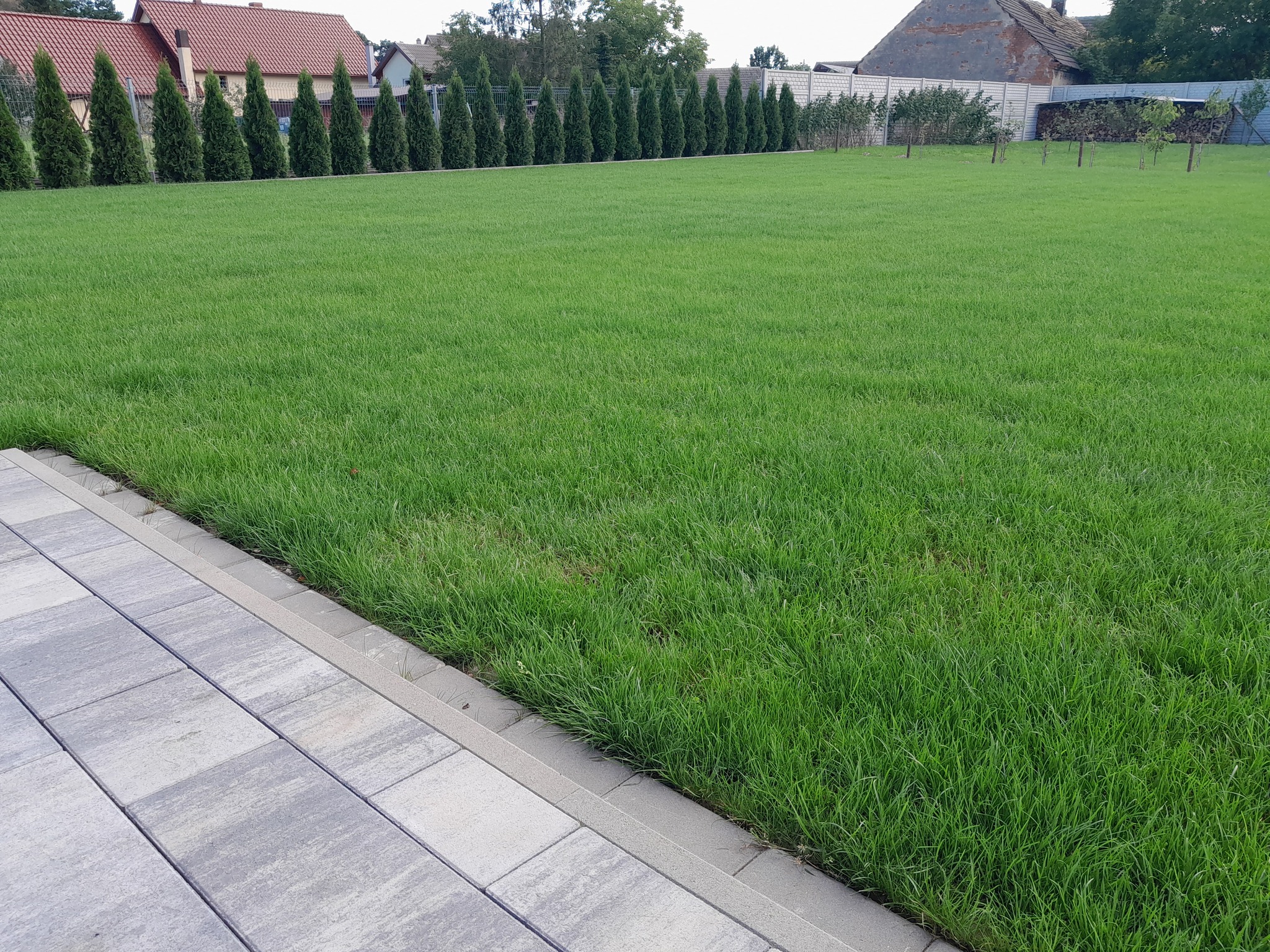 376400688_181449251646217_4246663665518874907_n