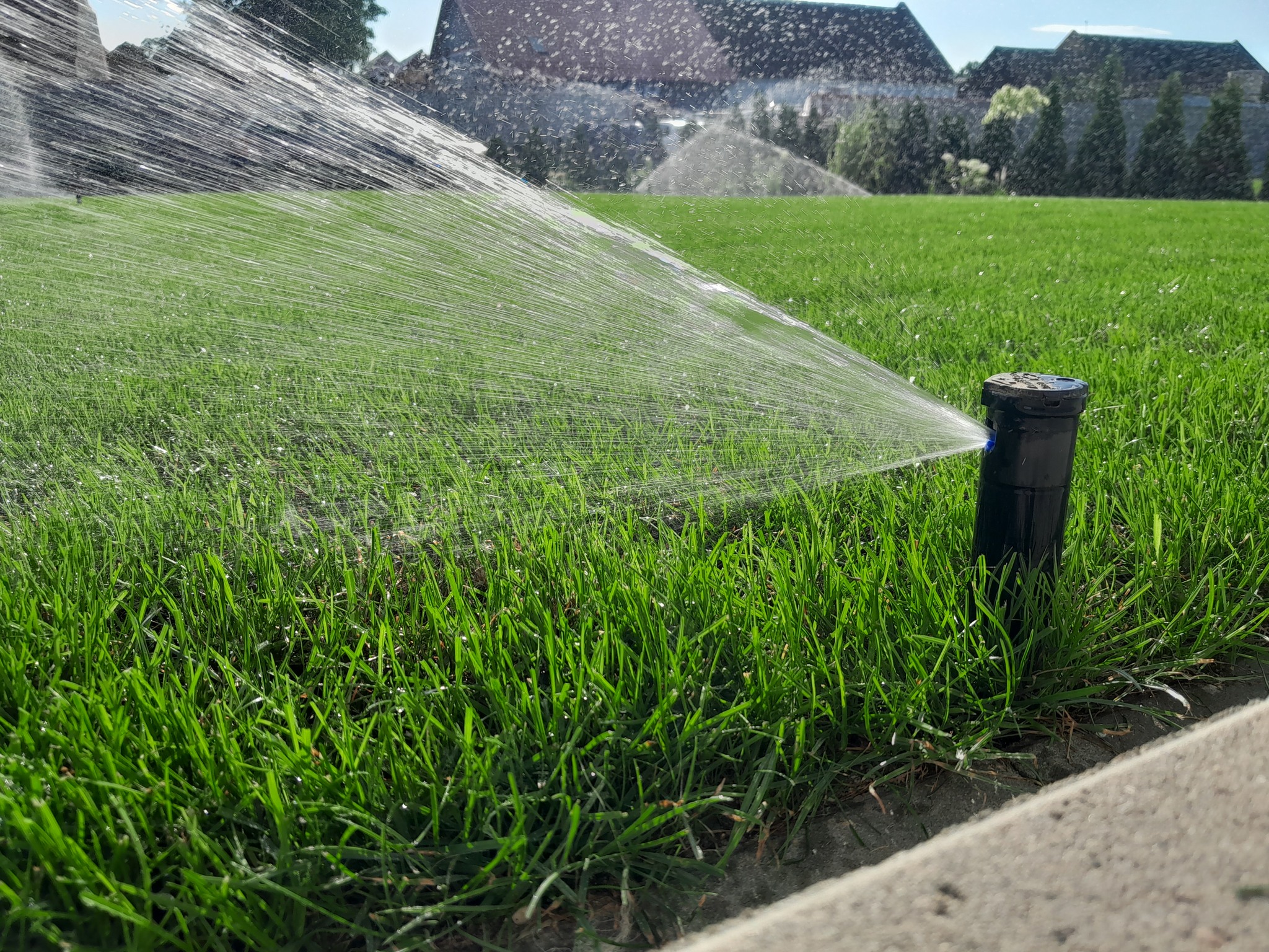 376792587_181449488312860_1820210431259002314_n