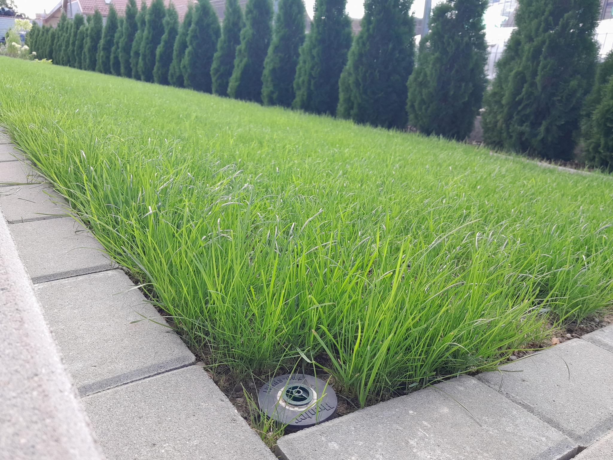 376808317_181449308312878_2489333955795991529_n