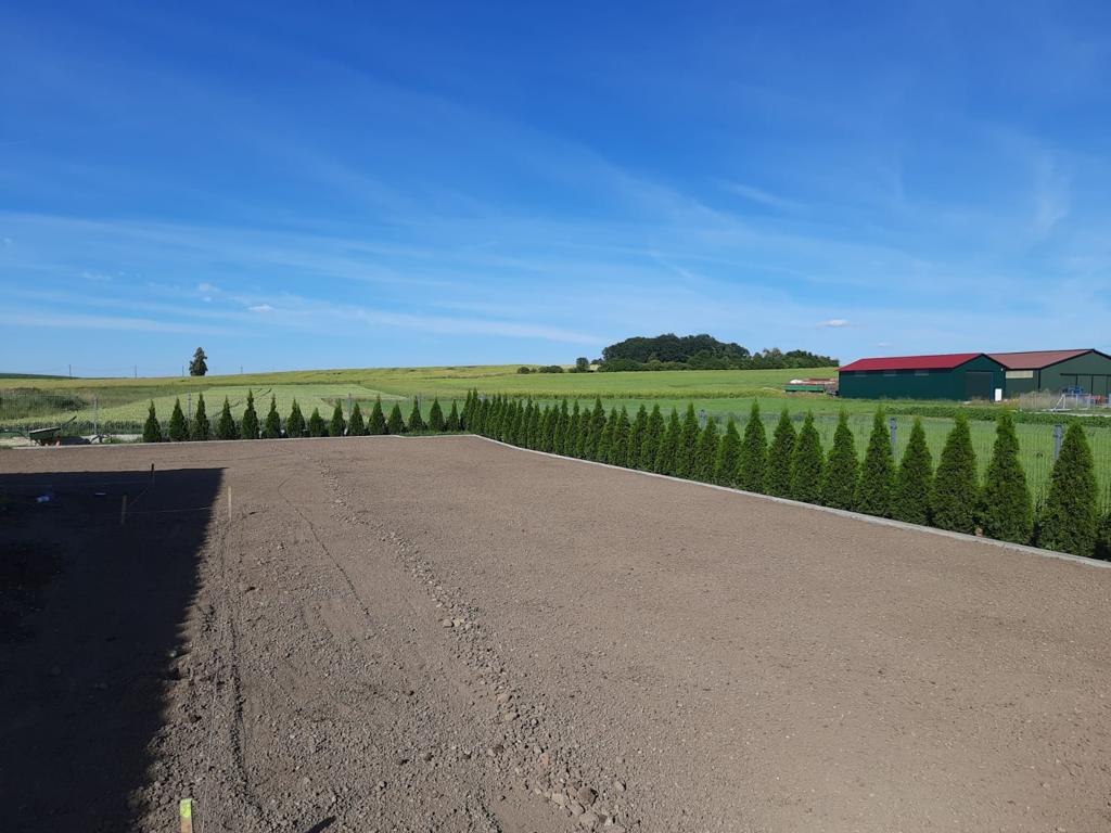 376861210_181448831646259_2065522558493838016_n