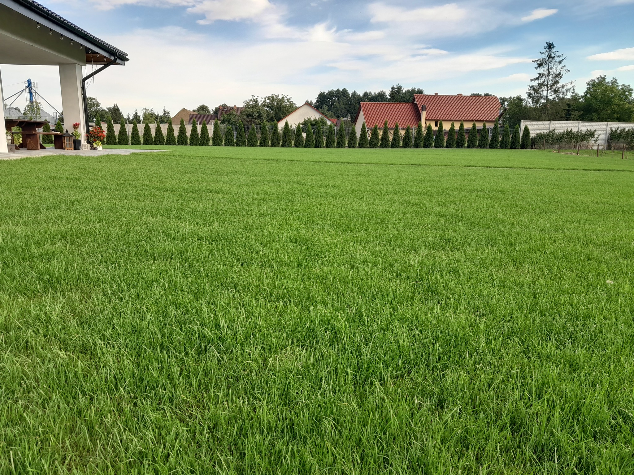 376881582_181449161646226_8839292542475522933_n