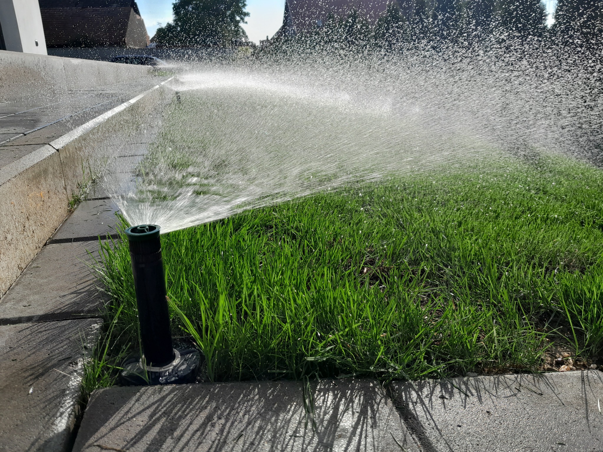 376899495_181449418312867_4590853637639333841_n