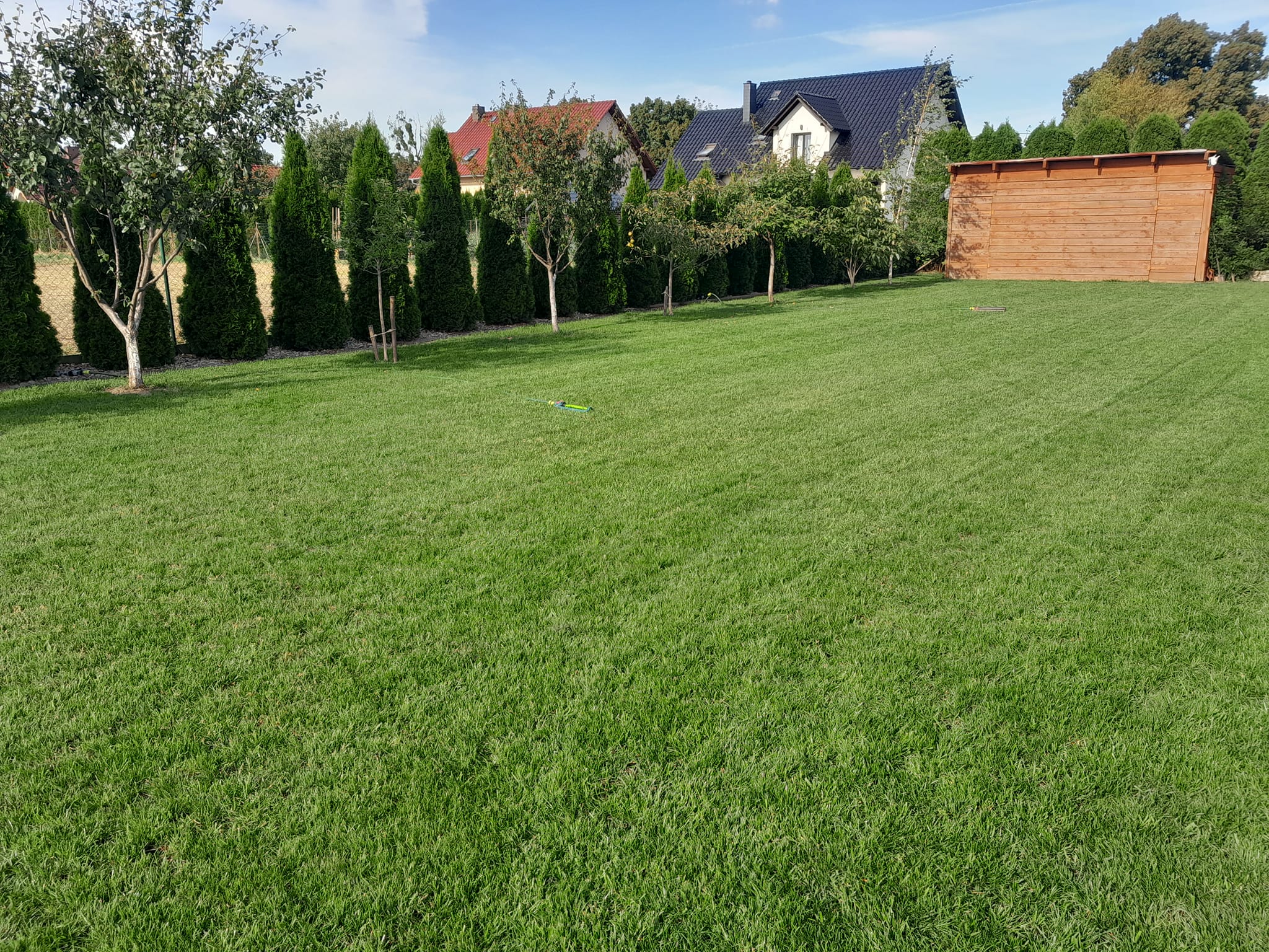 384558119_187744411016701_4455845061328737225_n