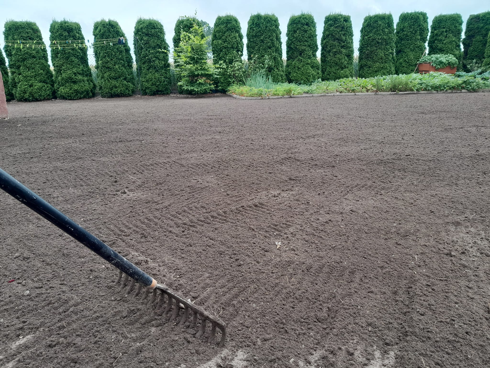 384567693_187744707683338_8656202529454625237_n