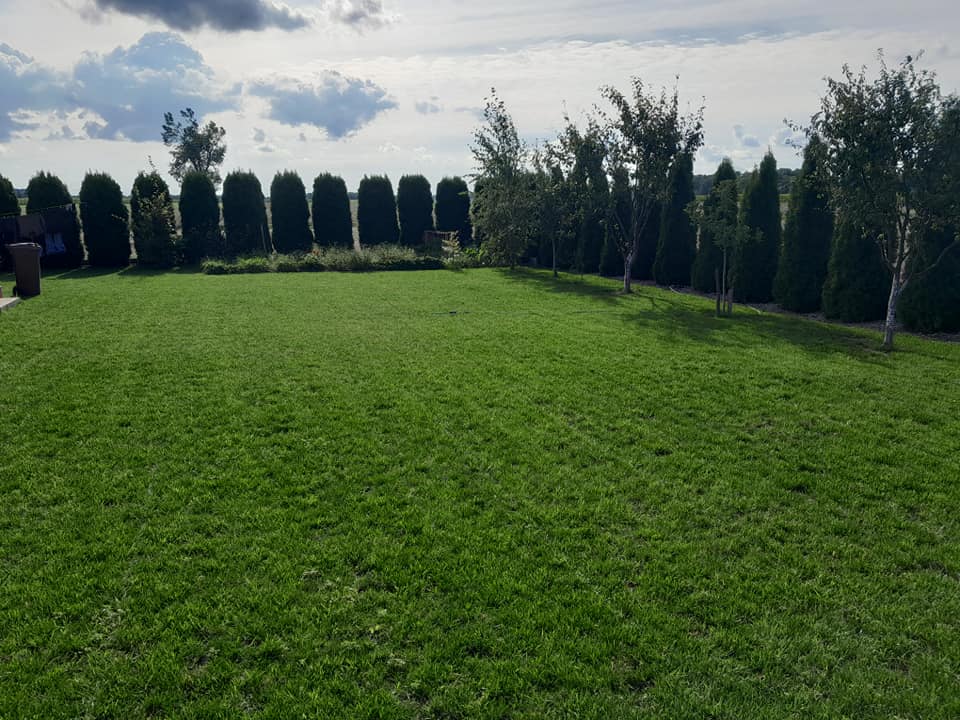 385751480_187737504350725_6259999945448644361_n